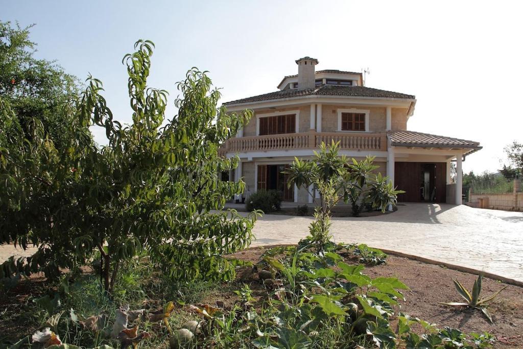 Villa President Cosmos Playa de Muro  Exterior photo